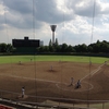 夏の暑い日に高校野球の練習試合を観戦した、ただそれだけの話
