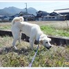 三人の日と書きます ♪