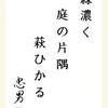 緑濃く庭の片隅萩ひかる