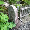 アジサイ寺(資福寺)に行ってみた