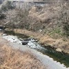 1月27日(月)秩父フライフィールドの河川情報