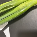 魚座の女