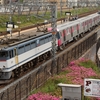 第860列車　「　甲42 都営地下鉄大江戸線用12-600系(12-721f)の甲種輸送を狙う　」