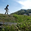 草刈り 伊勢川島