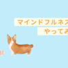 マインドフルネス始めました