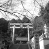 遠来の友と飯盛山へ