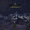 歴戦王クシャルダオラ連戦でγ作成 [MHW]