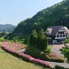 木漏れ日