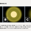 両目が人工レンズになって一ヶ月が経った。