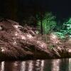 【2026年版】日本三大夜桜・高田城址公園観桜会ガイド ── 漆黒に浮かぶ三重櫓と四千本の桜