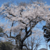 沼田公園