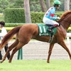 指名馬情報:牝馬第10位