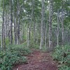 山の駅から毛無山