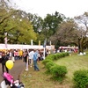 小金井公園の金木犀で花見酒