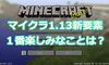 マイクラ1.13の新要素で楽しみなものは？