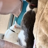 今日はちょっとだるだる…