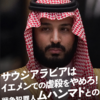 サウジアラビアはイエメンでの虐殺をやめろ！戦争犯罪人ムハンマドとの首脳会談反対！5.20官邸前行動へ