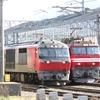 【実車】函館・五稜郭でプチ鉄活動（2026年4月）