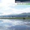 熊本・阿蘇地方でコシヒカリの田植え始まる
