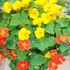 「人格あっての病気」と言う医者／ がんの治療をやめたいだけなのに～妻の目線  