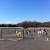  大磯運動公園