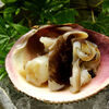 「とり貝」＆「岩牡蠣」を間人温泉で食す！丹後の夏食材は格別！今年の夏は間人温泉で素敵な思い出を。