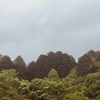 今朝の景色