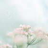 信じられないような現実が起きる
