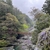 徳島の秘境・祖谷のかずら橋はどんなところ？実際に行ってきた！