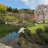 三景園の里池（広島県三原）