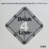 Peter Rauhofer+The Pet Shop Boys=The Collaboration/Break 4 Love(Part2)