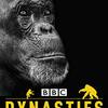 チンパンジーの群れのドラマを描いた読み応えのあるGraded Reader、『Dynasties: Chimpanzees』のご紹介