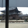 雨中の高田本山専修寺