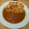 ココイチ　イカカレー・手仕込みとんかつカレー