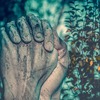 キリスト教の闇と謎に迫る！読む手が止まらない禁断の真実を描き出すおすすめ本７選