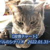 【習慣チャート】　ユーロドルのシナリオ　 2022.01.31～02.04