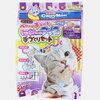 こう暑いと？猫もアイスが美味しいらしい！
