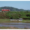 田んぼの水、青く