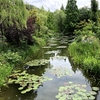 Jardin de Monet 【モネの庭 マルモッタン】