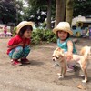 　いぬ