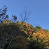 tochikoな山歩き　朝霧