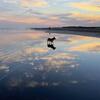 犬と海の七不思議