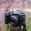 防塵防滴になったOM SYSTEM M.ZUIKO DIGITAL 17mm F1.8 II を購入、雨と雪の日に使ってみた