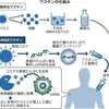 「不思議現象の心理学」2021/05/28 講義ノート