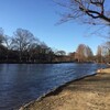 上尾、丸山公園を散歩する（1月3日）。