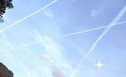 記事を見る