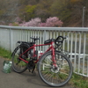 リベンジは･･････1勝1敗1引き分け（とほほん）