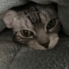 察しがいいね