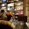 犬可店　ギリア