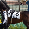 【一口馬主】スノーグレースちゃんもシルブロンクンも競馬に参加できず！せめてお写真を…